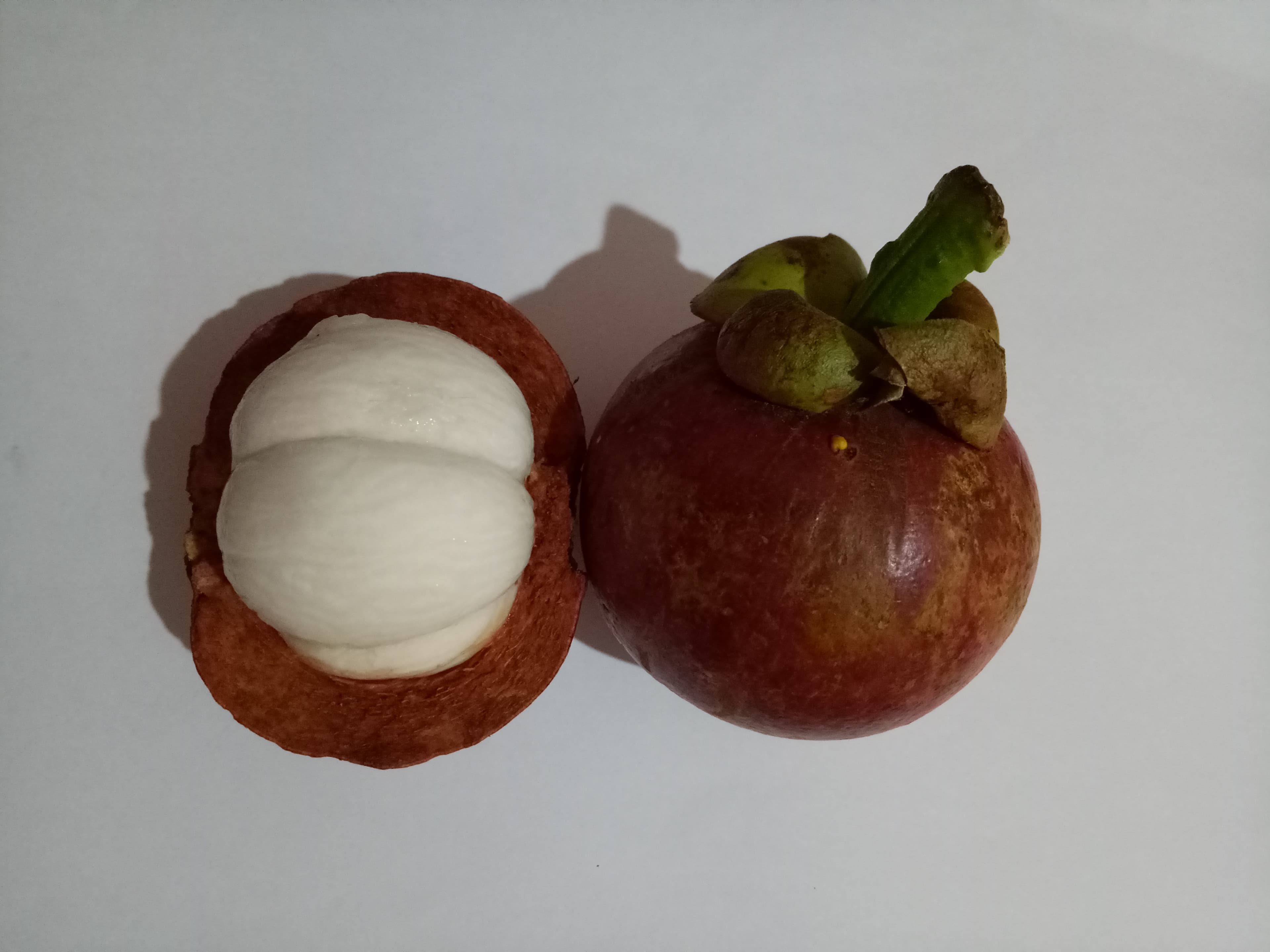 Buah manggis — Indonesian mangosteen fruit