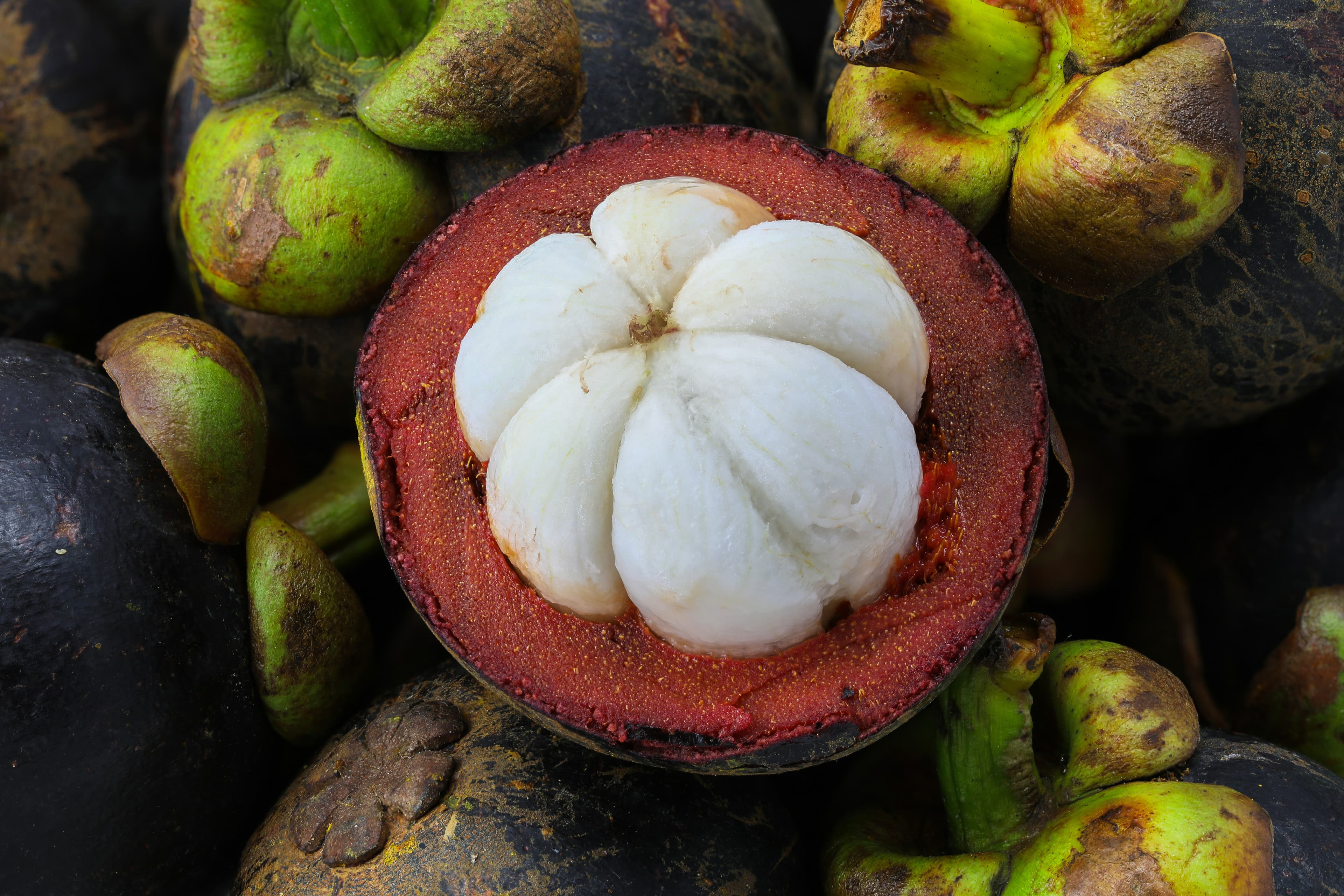 Mangosteen cross-section — white aril flesh, focus-stacked macro photography